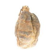 Luftgetrockneter Schinken - geräuchert ca. 800g