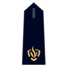 Epaulet Fire Brigade
