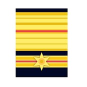 Rank Fire Brigade