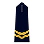Epaulet Brandwacht