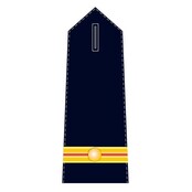 Epaulet Fire Brigade