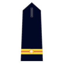 Epaulet Fire Brigade