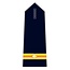 Epaulet Fire Brigade