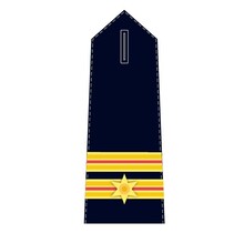 Epaulet Fire Brigade