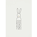 Rader Kaartje Bunny Rader Kaartje Bunny