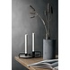 Blomus Blomus Coluna vaas M donkergrijs (24cm) Blomus Blomus Coluna vaas M donkergrijs (24cm)