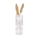 Zusss Glazen vaas met ribbels Zusss Glazen vaas met ribbels