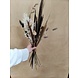 Wauw Flowers Boeket zwart Wauw Flowers Boeket zwart