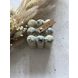 Soyhive Nude Collection - Eggshell Soyhive Nude Collection - Eggshell