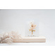 Cocoomade Cocoomade Kaartje droogbloemen Dream big little one Cocoomade Cocoomade Kaartje droogbloemen Dream big little one