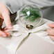 Leeff Kerstbal Cis met Tak Leeff Kerstbal Cis met Tak