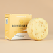 Shampoobars Body Scrub Bar Citrus Shampoobars Body Scrub Bar Citrus