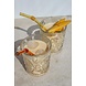 Pineut Mango Colada Pineut Mango Colada