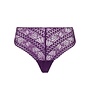 Antigel Atelier Séduction Knickers