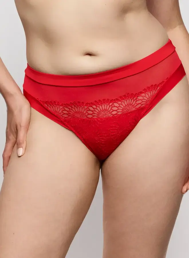 Prima Donna Sophora Knickers