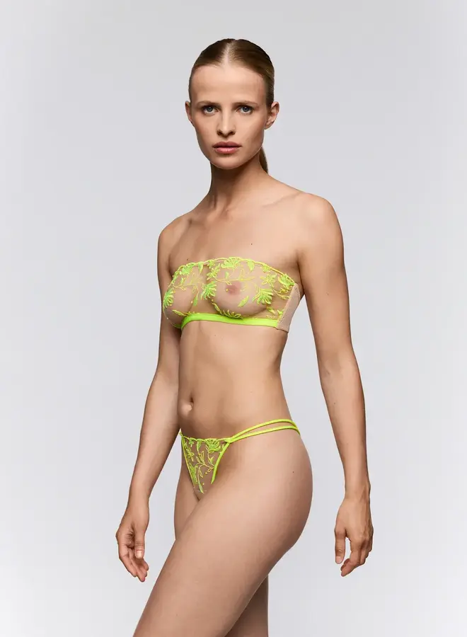 Sarda Shay String