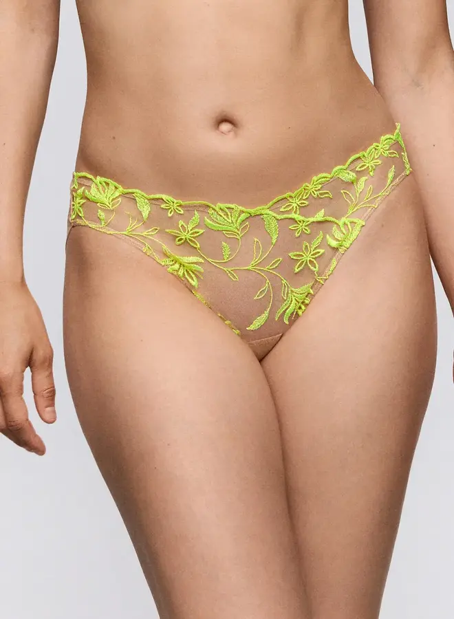 Sarda Shay Knickers