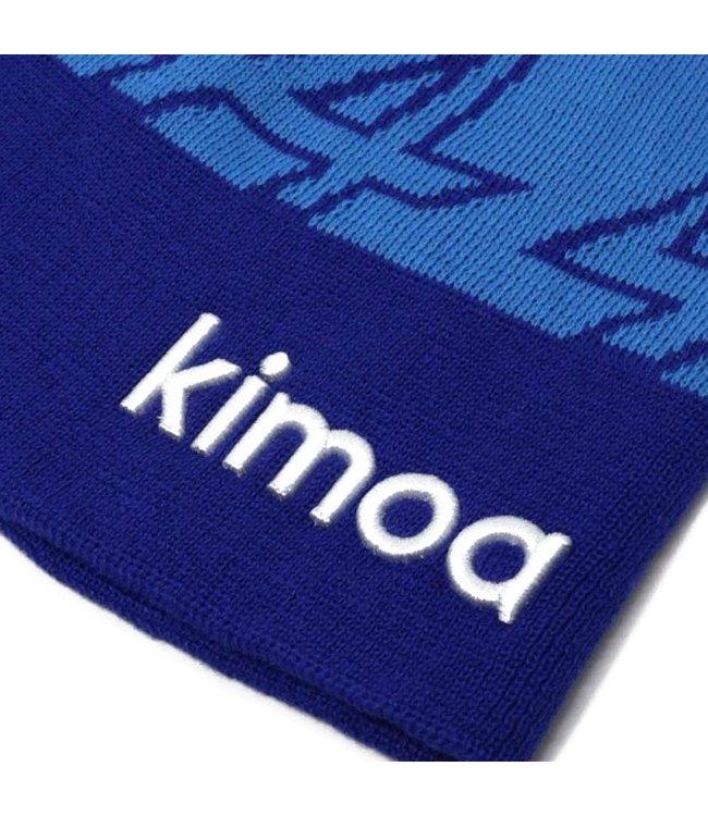 BWT Alpine F1 Team Fernando Alonso Driver Beanie Adult - Collection 2022