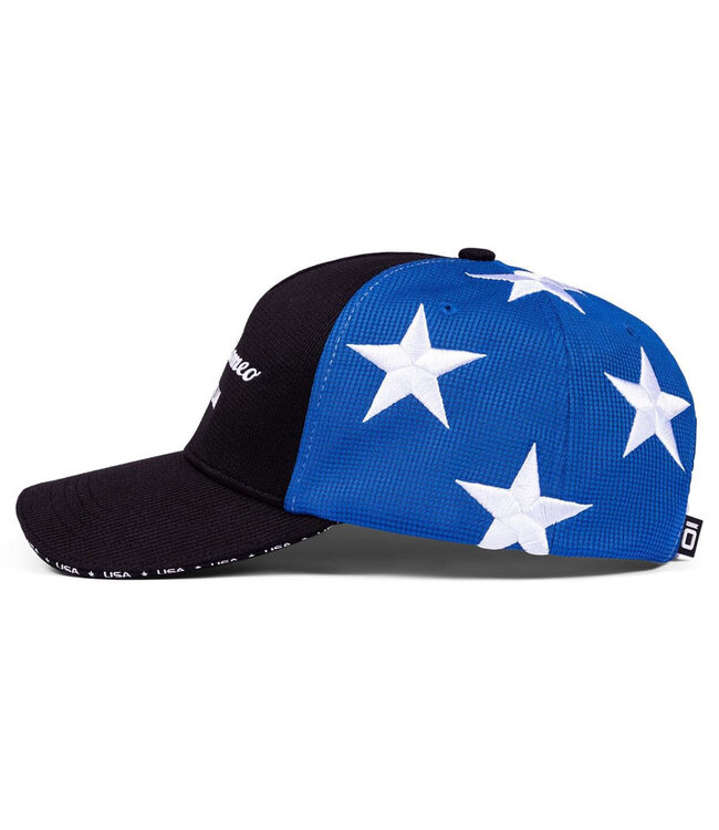 Stake F1 Team Kick Sauber Stake Formula 1 Team Baseball Cap GP USA Adult - Collection 2023