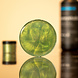 Epoxystudio™ OLIVE GREEN Epoxystudio™ OLIVE GREEN