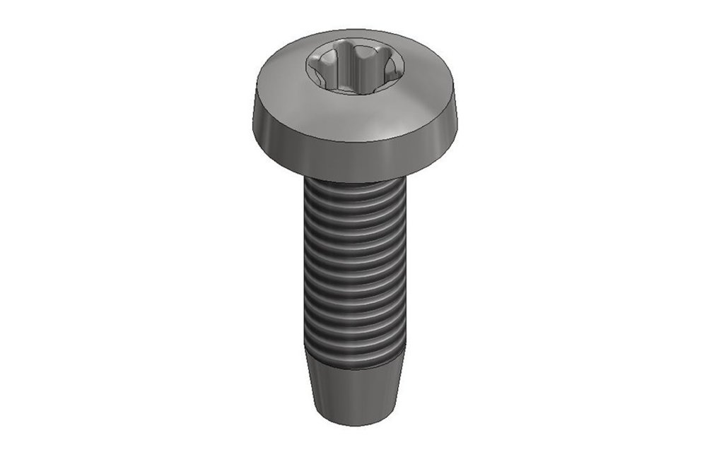 Van der Valk 773310 Rvs Zelftapbout M6x10mm T30