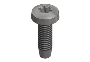 Van der Valk 773320 Rvs Zelftapbout M6x20mm T30