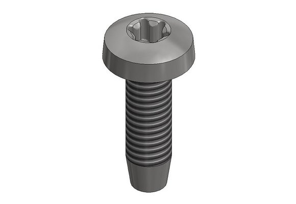 Van der Valk 773320 Rvs Zelftapbout M6x20mm T30