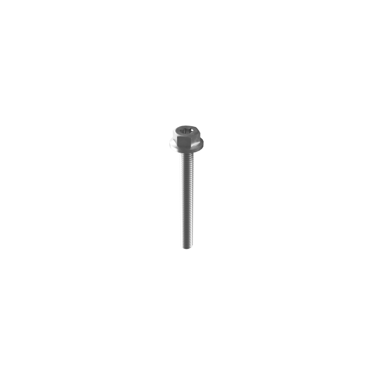 Clickfit 100-0655 Montage schroef M6 x 55mm