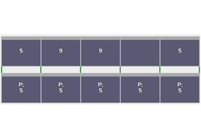 Flatfix Fusion 2 rijen van 5 panelen landscape
