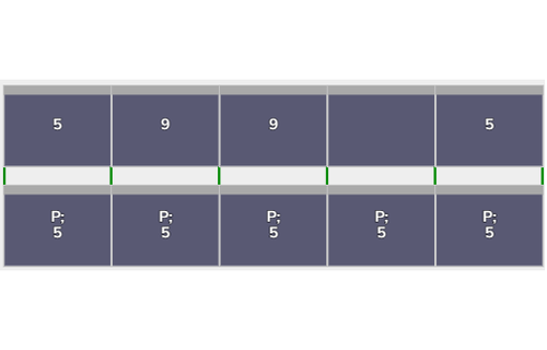 Flatfix Fusion 2 rijen van 5 panelen landscape