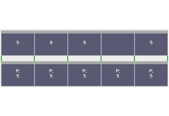 Flatfix Fusion 2 rijen van 5 panelen landscape