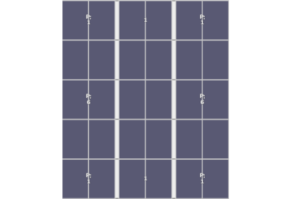 Flatfix Fusion (3x) 5 Rijen van 1 dakje Oost/West Opstelling (30 panelen) landscape