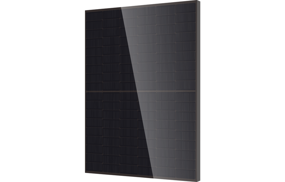 DMEGC DM500M10RT-B60HBB-BK Full Black N-Type 500Wp Glas-Glas