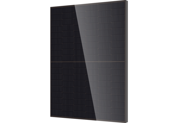 DMEGC DM455M10RT-B54HBB-BK Full Black  N-Type 455Wp Glas - Glas