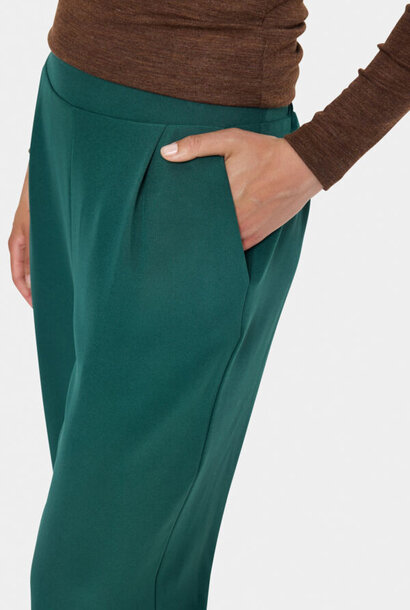 Celest Wide Leg Pants groen