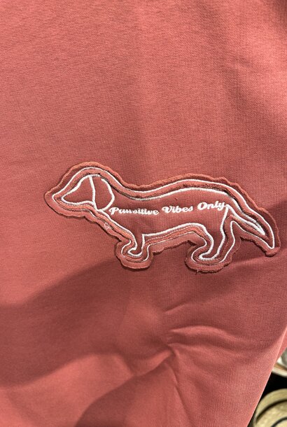 pawsitive vibes only sweatshirt