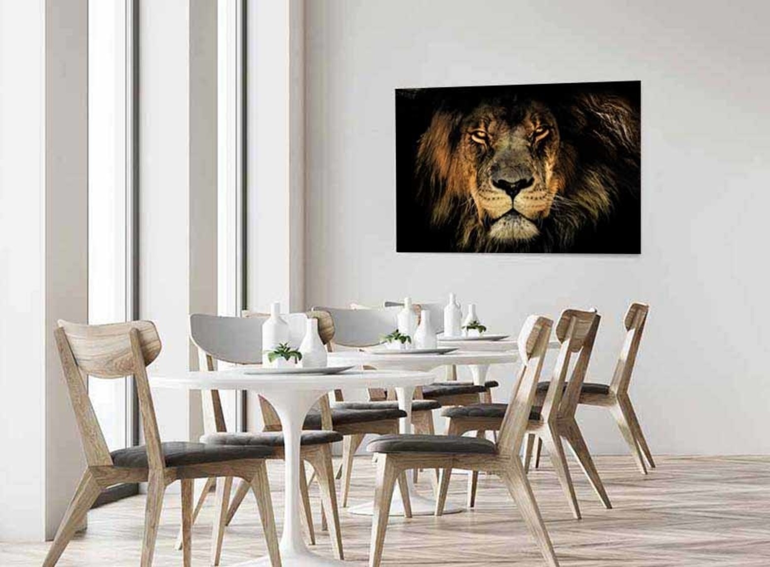 King of the Jungle foto-art dibond