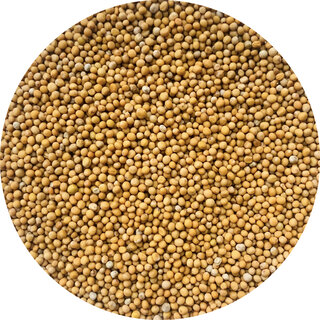 De Kruidenshop Mosterdzaad Geel