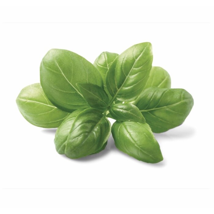 Domaine des terres rouges Ambachtelijke Mosterd met Basilicum – Franse finesse in een potje