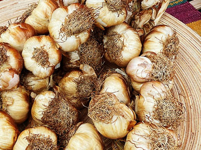 Gerookte knoflook is gezond!