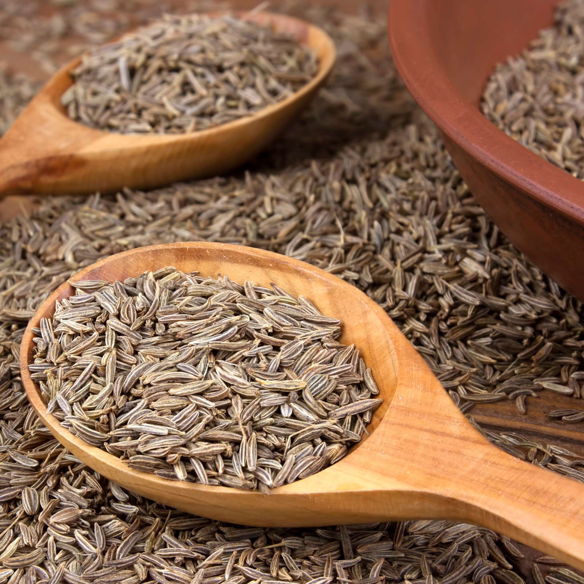 De Kruidenshop Karwijzaad Gemalen – Authentieke smaakmaker voor de creatieve kok