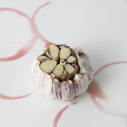 De Kruidenshop Knoflookpoeder – 100% gemalen knoflook