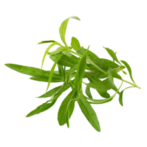 De Kruidenshop Dragon | 100% natuurlijk gedroogd dragonblad