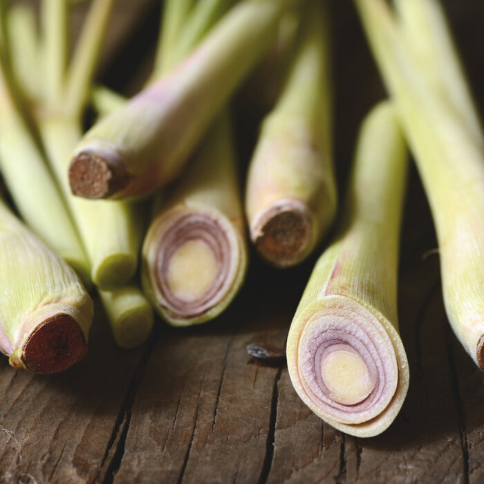 De Kruidenshop Gesneden Citroengras (Sereh) – Fris & aromatisch voor oosterse gerechten