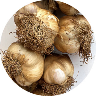 De Kruidenshop Gerookte knoflook