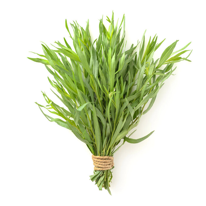 Domaine des terres rouges Mosterd met Dragon – Ambachtelijke Franse mosterd vol smaak