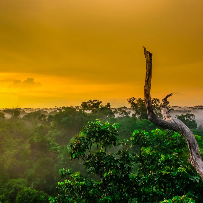 De Kruidenshop Zeldzame Gele Chili– Pittige smaak uit Colombia