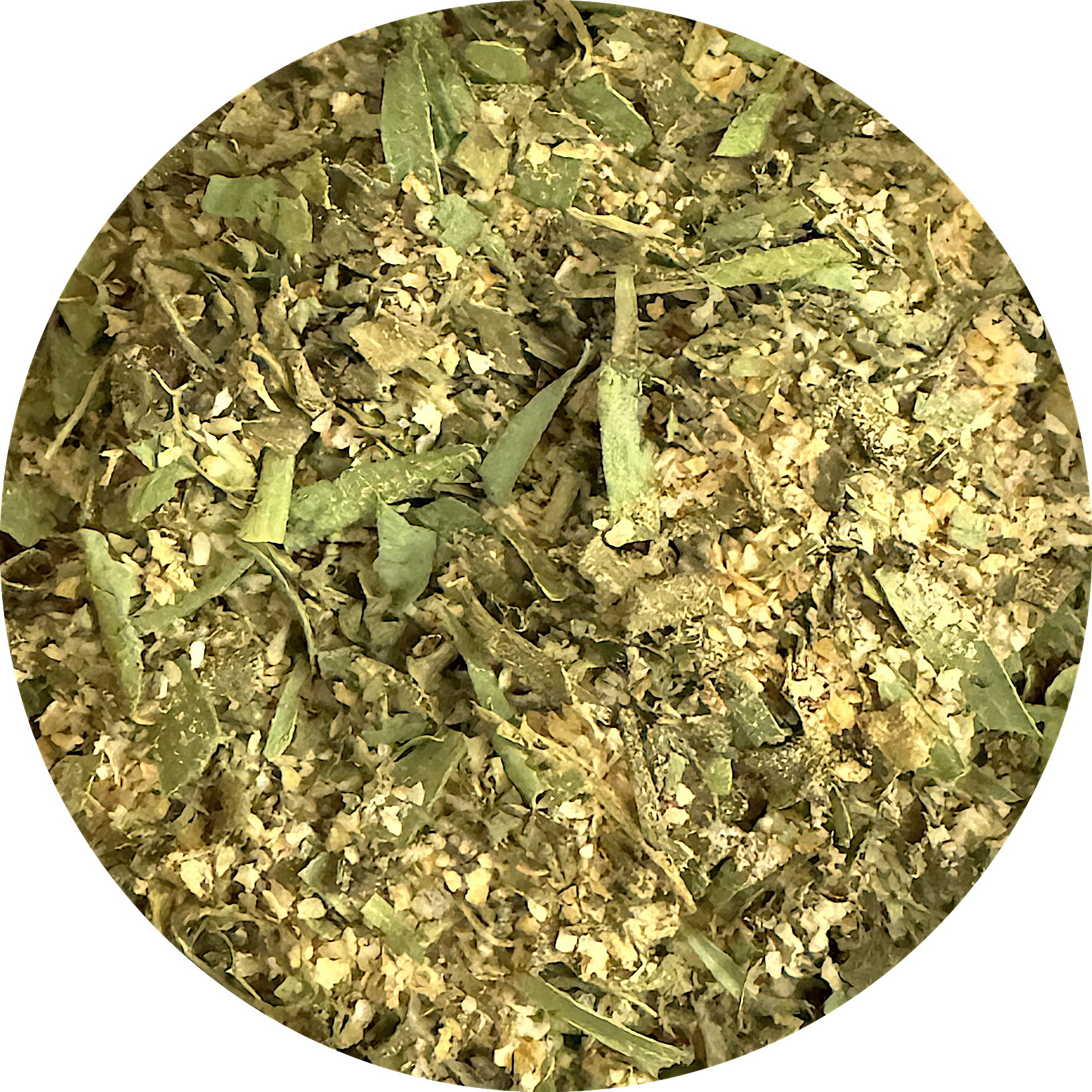 Scampi met knoflook en dragon