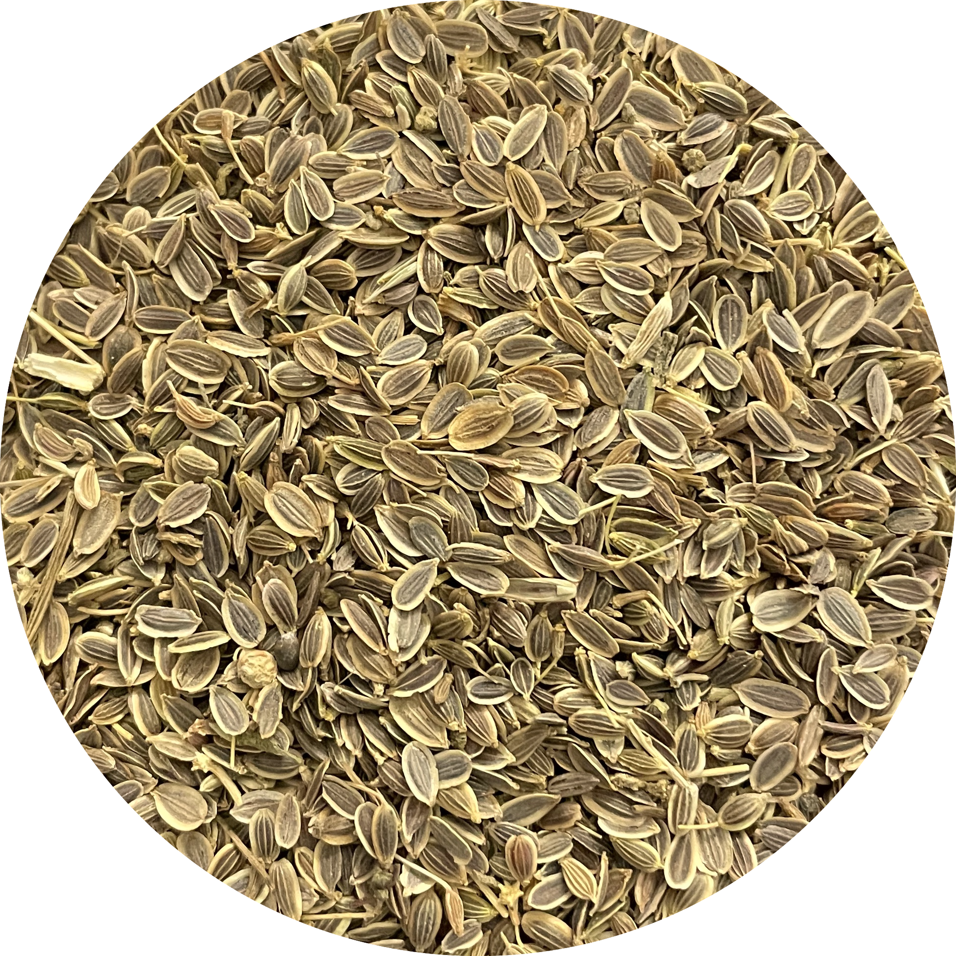 De Kruidenshop Dille Zaad Heel – 100% puur kruid voor pickles, vis en meer