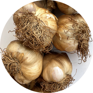 De Kruidenshop Franse gerookte knoflook